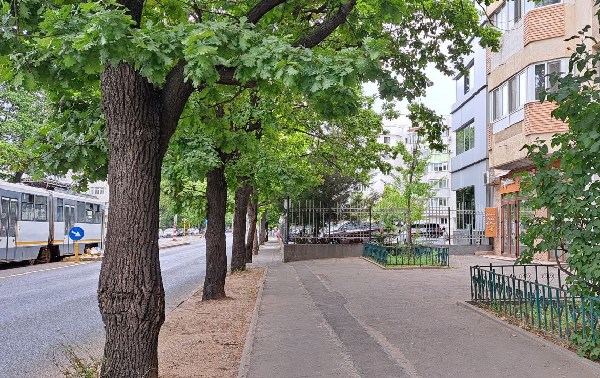 Spatiu comercial de inchiriat in sectorul 1, Strada Alexandru Serbanescu 16, vedere stradala din lateral