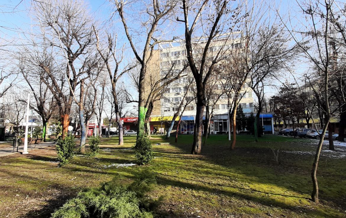 Spatiu comercial de inchiriat in sectorul 2, Bulevardul Garii Obor 10, vedere generala