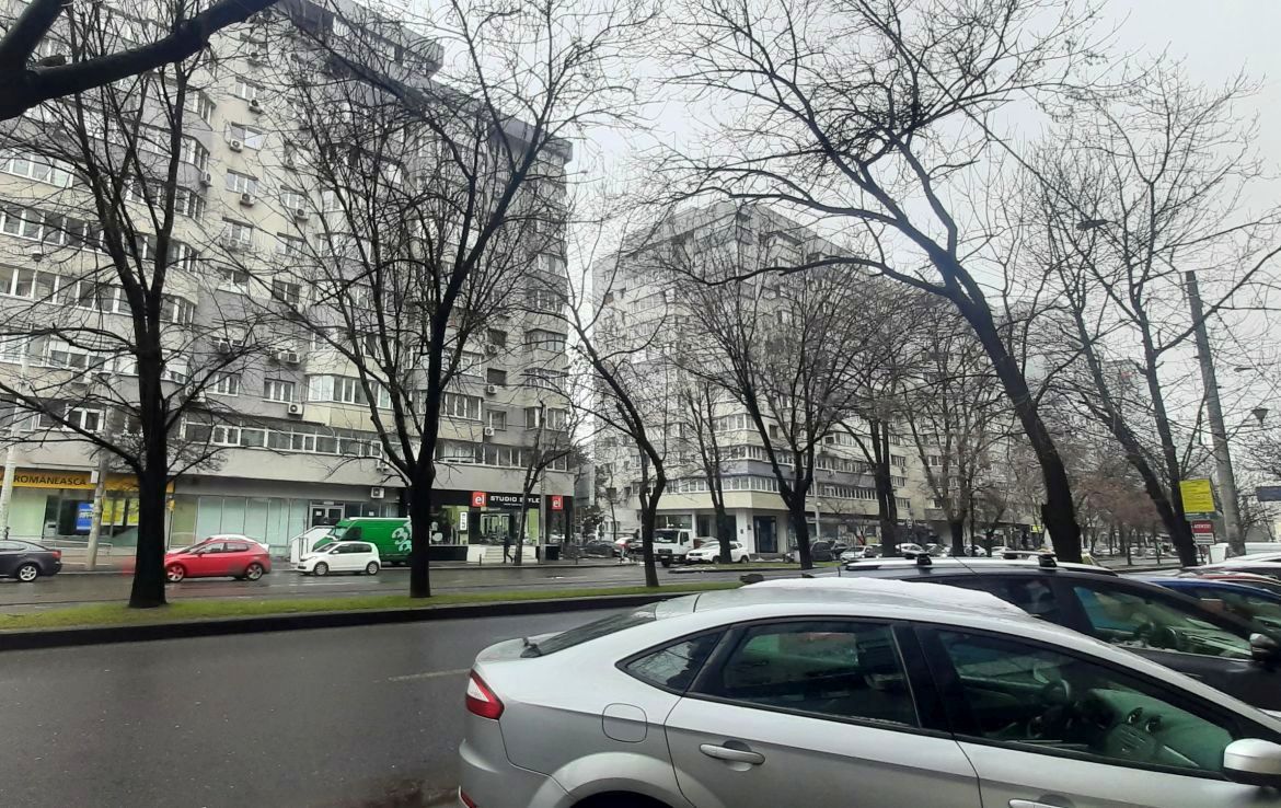 Spatiu comercial de inchiriat in sectorul 1, Soseaua Nicolae Titulescu 14, vedere de ansamblu