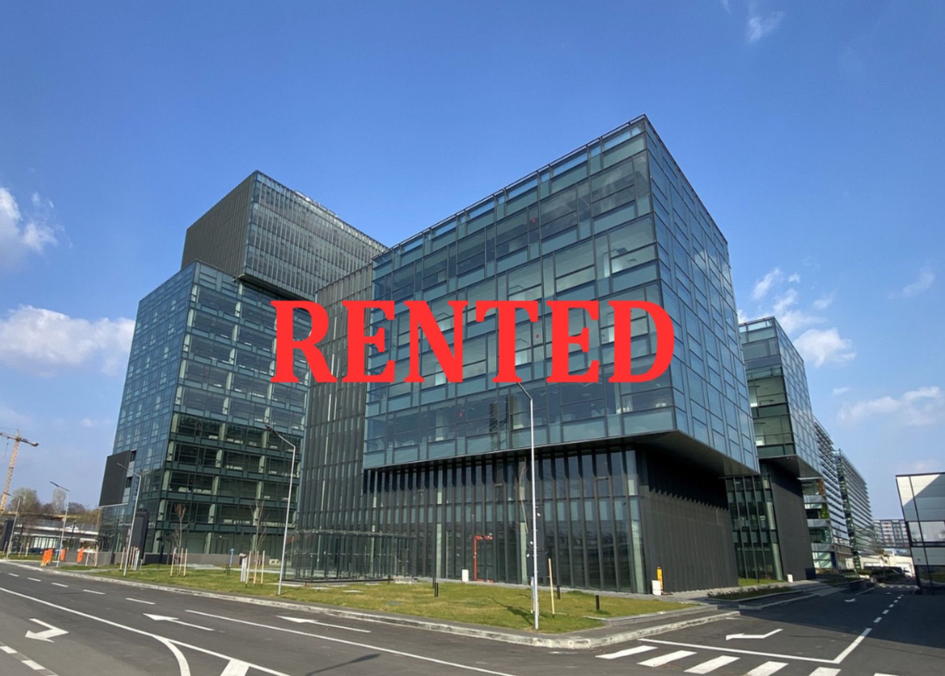 Your paragraph text (15)-redimensionată-la-2000x1430.jpeg